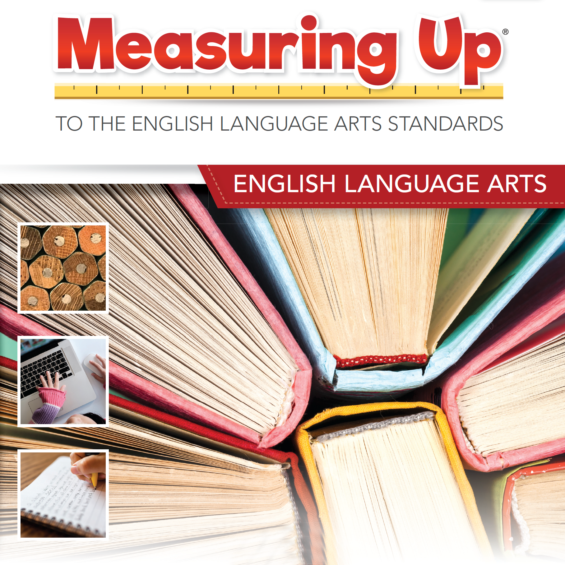 Measuring Up to the Mathematics Standards | Perfection Learning